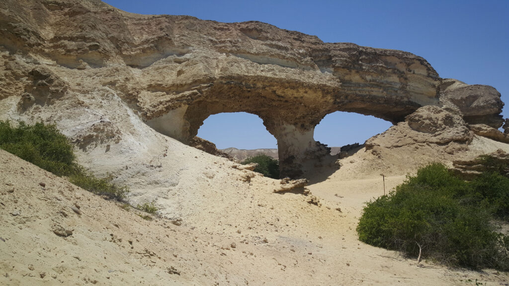 Exploring Namibe Partial Reserve: Flora, Fauna, and Unique Landscapes