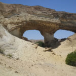 Exploring Namibe Partial Reserve: Flora, Fauna, and Unique Landscapes