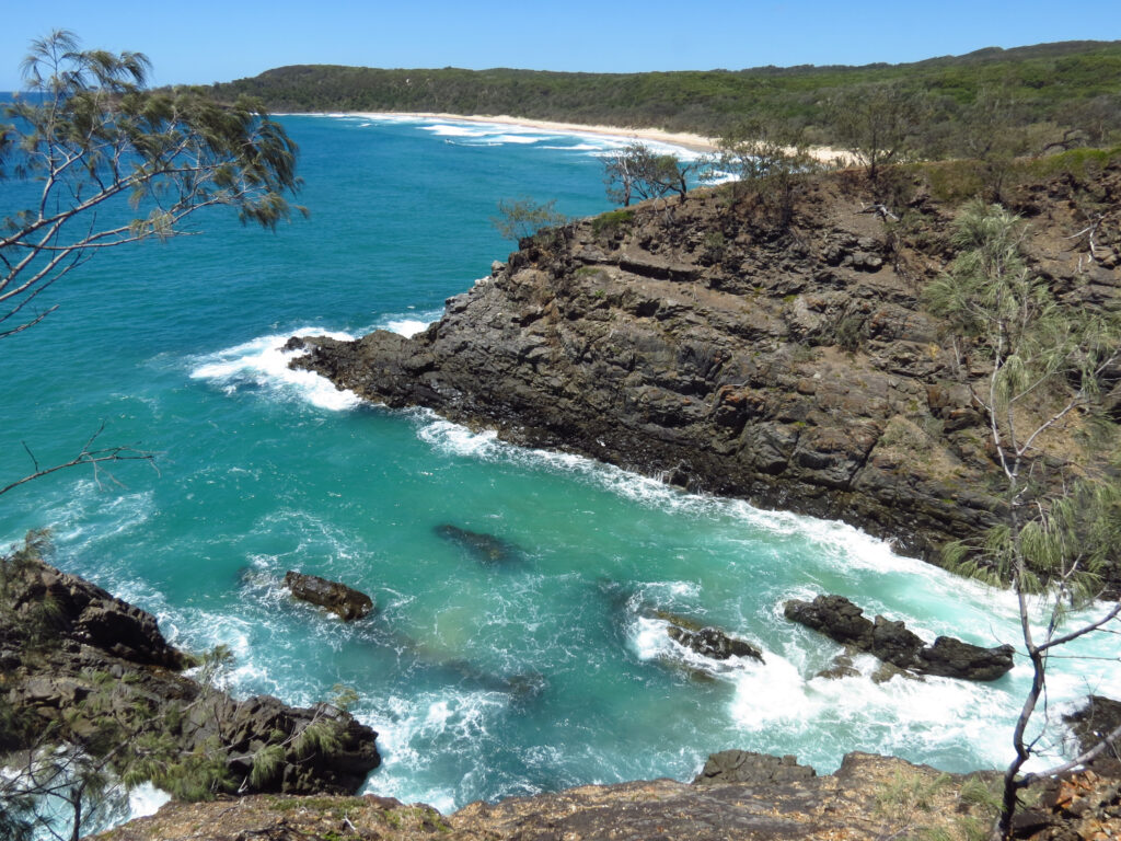 Noosa National Park: Spectacular Ocean Views, Wildlife, and Eco-Tourism