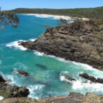 Noosa National Park: Spectacular Ocean Views, Wildlife, and Eco-Tourism